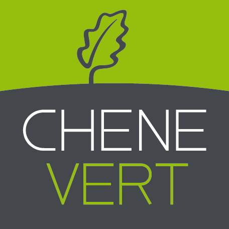 CHENE VERT